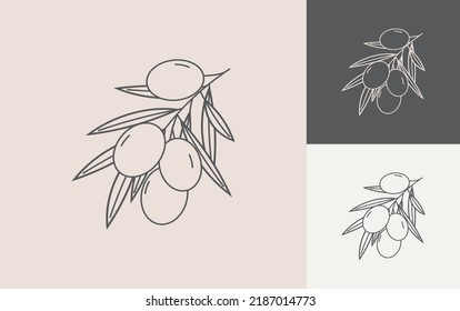 Olive Branch Line Art Hand Drawn Olive Line art