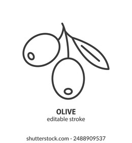 Olive branch line icon. Symbol olive oil vector illustration. Editable stroke.