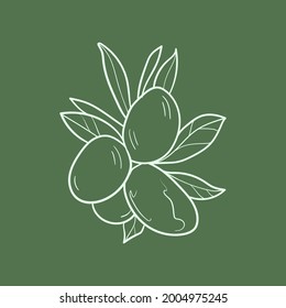 Ilustración vectorial de la línea de la rama de olivo. Icono de Comida detallada para concepto móvil, impresión, menú y aplicaciones web. Para restaurante, bar, vegano, comida saludable y orgánica, mercado, mercado de agricultores.