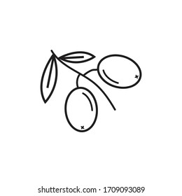 olive branch linear icon vector design logo concept 