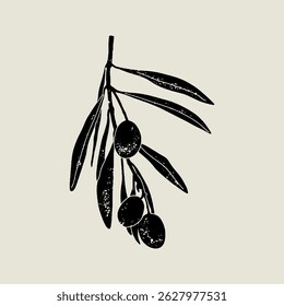 Olive branch linocut vector illustration with grunge texture. Monochrome linear woodcut illustration.	