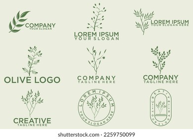 olive branch logo design with 9 options