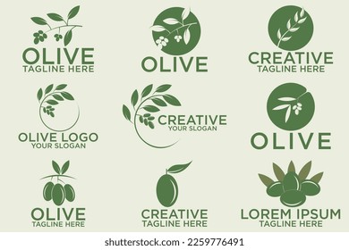 olive branch logo design with 9 options