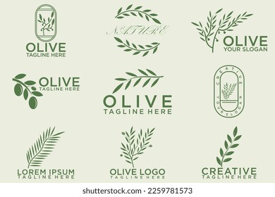 olive branch logo design with 9 options