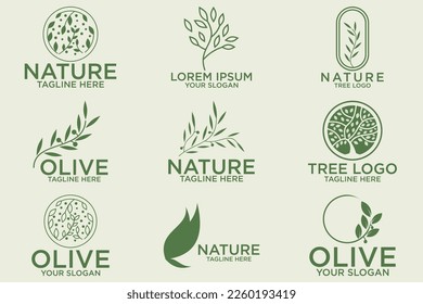 olive branch logo design with 9 options