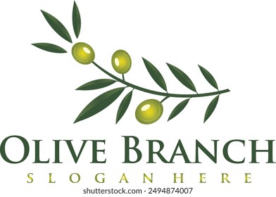 olive branch logo design with editable vector file