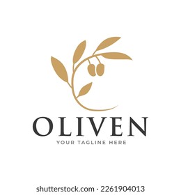 olive branch logo design. olive logo template vector design