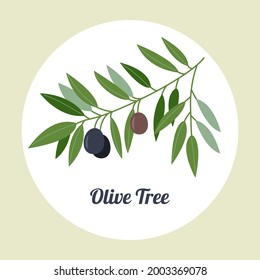 Olive branch logo. Olive branch with ripe olive isolated on a white background. Vector flat illustration.