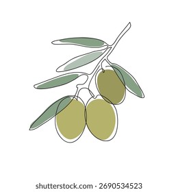 Rama de olivo. Dibujo moderno de arte de una sola línea. Dibujo de línea continua. Ilustración vectorial de color de diseño de dibujo de esquema.