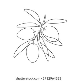 Ramo de oliveira. Moderno desenho artístico de linha única. Desenho de linha contínuo. Ilustração do vetor de design do esboço.