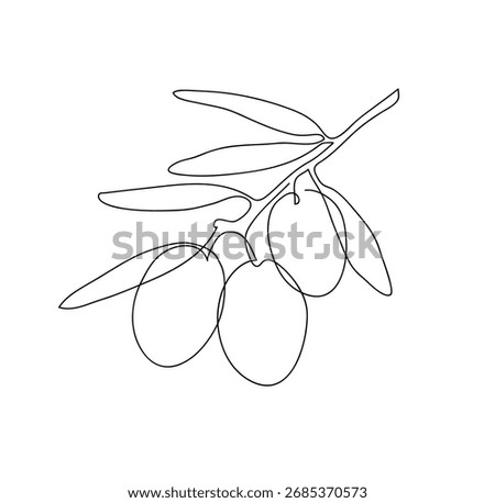 Olive branch. Modern single line art drawing. Continuous line drawing. Outline draw design vector illustration.