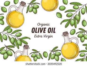 Olive branch, oil jug hand drawn vector illustration. Design template. Healthy food illustration. Olive oil frame.