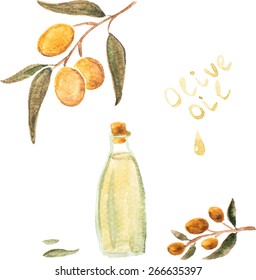 Olive branch and oil set. Vector watercolor illustration