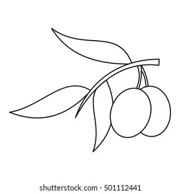 Olive branch with olives icon. Outline illustration of olive branch vector icon for web