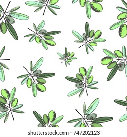 olive branch, olives with leaves, Mediterranean plant. modern seamless pattern. Freehand drawing vector. 
