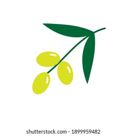 Olive branch with olives and leaves, vector flat illustration 
