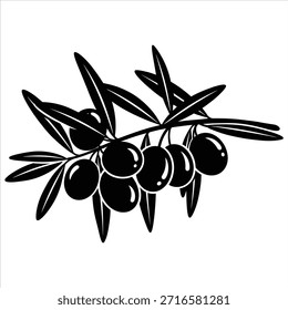 Rama de olivo con Ilustración vectorial de aceitunas. Elemento vegetal mediterráneo. Ingrediente alimenticio saludable. Símbolo de paz de Naturaleza.
