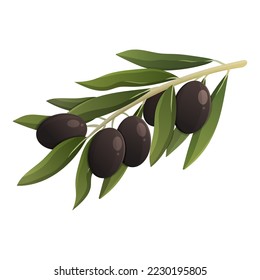 Olive branch with olives. Vector isolated illustration