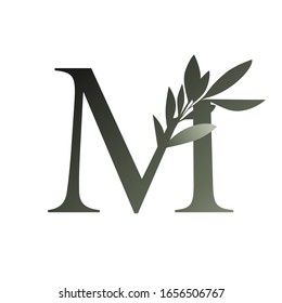 Olive branch on capital letter isolated on white background	