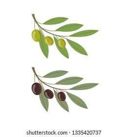 Olive branch on white background. Vector illustration