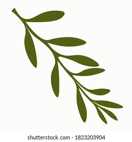 
Olive branch on white background. 
Vector isolated.