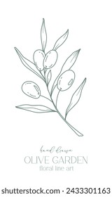 Olive branch on white background vector illustration. Olives Line Drawing. Black and white Olive Branches. Floral Line Art. Fine Line Olives illustration. Hand Drawn Olive. Wedding invitation greenery