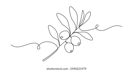 Olive branch in One continuous line drawing. Leaf tree with berry for banner or logo vegan healthy oil in simple linear style. Editable stroke. Doodle vector illustration