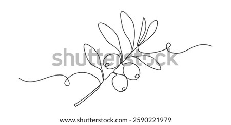 Olive branch in One continuous line drawing. Leaf tree with berry for banner or logo vegan healthy oil in simple linear style. Editable stroke. Doodle vector illustration