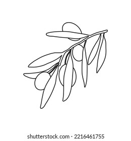 Olive Branch Outline, Vector Drawing