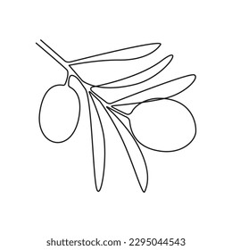 Olive branch outline, vector drawing
