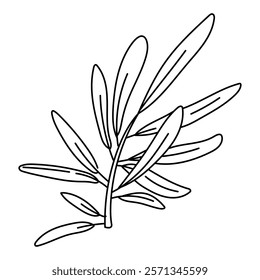 The olive branch is outlined. Isolated flat illustration. An environmentally friendly product with olive oil content. A symbol of a natural product. Contrasting outline for coloring