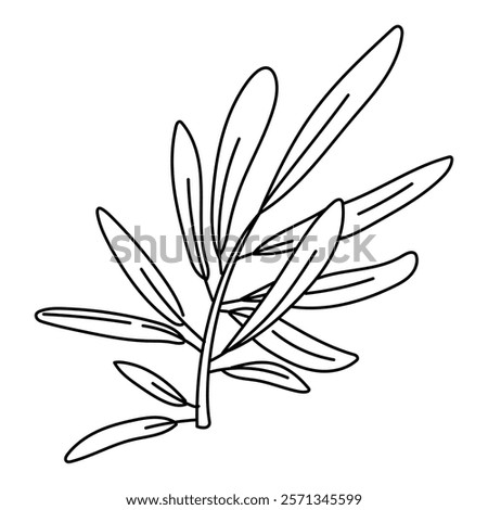 The olive branch is outlined. Isolated flat illustration. An environmentally friendly product with olive oil content. A symbol of a natural product. Contrasting outline for coloring