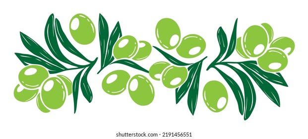 Olive branch pattern. Vector hand drawn decorations with texture branches, green olives and leaves on white background. Organic nature illustration. Vegan food