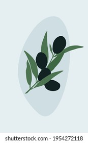 An olive branch placed against a background with abstract shapes.