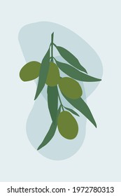 An olive branch placed against a background with abstract shapes.