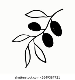 Olive branch plant ink sketch on isolated background. Minimalistic sketch logo for virgin oil, Italian Greek food ingredient, cosmetic in line art style. Vector illustration, design element for label