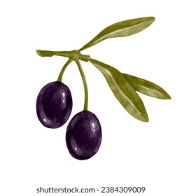 Olive branch with ripe berries of olives with green leaves. Vector graphics.