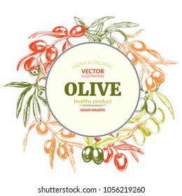Olive branch round banner. Color vintage card design with hand drawn engraved olive tree sketch. Vector illustration. 