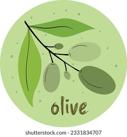 Rama de olivo en forma redondeada aislada sobre fondo blanco. Ilustración del vector