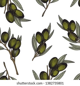 Olive branch seamless pattern. Colorful vector illustration of olive tree twigs in engraving technique. Isolated on white background.