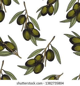 Olive branch seamless pattern. Colorful vector illustration of olive tree twigs in engraving technique. Isolated on white background.