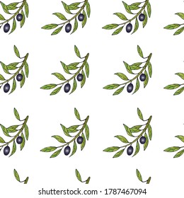 olive branch seamless pattern  isolated on white