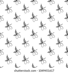 Olive branch seamless pattern. Natural background Design with olives for olive oil or cosmetics products, vector illustration.