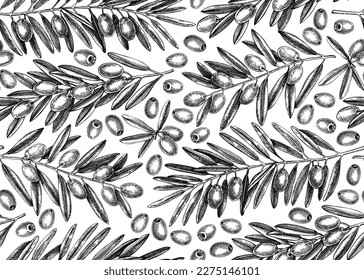 Olive branch seamless pattern. Vector food background with leaves and fruits sketches in vintage style. Vegetable oil ingredients texture. Olive plant illustration for print or packaging design