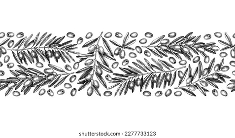 Olive branch seamless pattern. Vector banner design with leaves and fruits sketches in vintage style. Vegetable oil ingredients ribbon. Olive tree border template for print or packaging