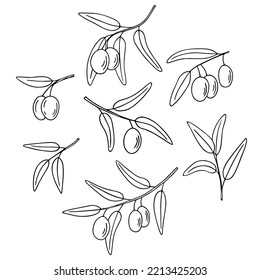 Olive branch set, hand-drawn doodle sketch. Twigs with leaves and fruits outline. Simple minimalistic design.
Food menu or cosmetic concept decoration. Isolated. Vector illustration