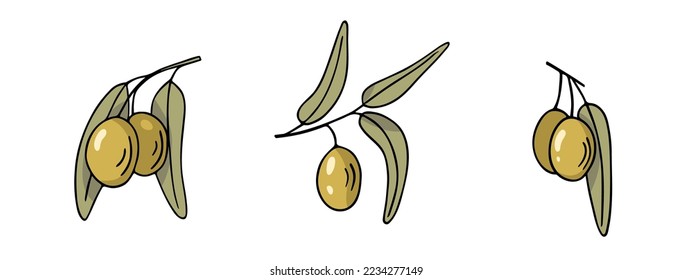 Olive branch set, hand-drawn doodle sketch. Twigs with leaves and fruits outline. Simple minimalistic design.Food menu or cosmetic concept decoration. Isolated. Vector illustration