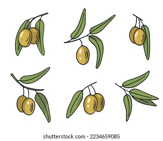 Olive branch set, hand-drawn doodle sketch. Twigs with leaves and fruits outline. Simple minimalistic design.Food menu or cosmetic concept decoration. Isolated. Vector illustration