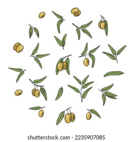 Olive branch set, hand-drawn doodle sketch. Twigs with leaves and fruits outline. Simple minimalistic design.Food menu or cosmetic concept decoration. Isolated. Vector illustration