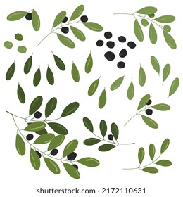 Olive branch set isolated on white background 